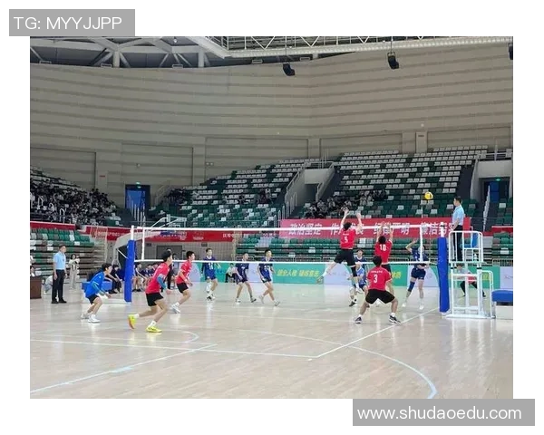 排球战术：成都排球队的节奏体系