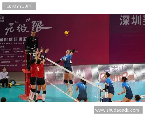 热议排球:武汉排球队的耐力变革 热议排球:武汉排球队的耐力变革