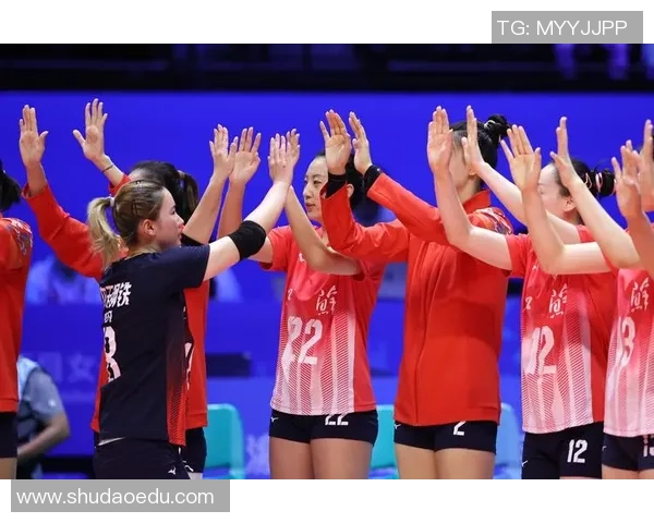 排球热点：解读南京排球队的反击